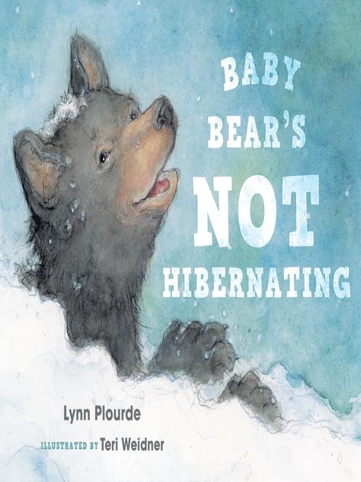 Title details for Baby Bear's Not Hibernating by Lynn Plourde - Available